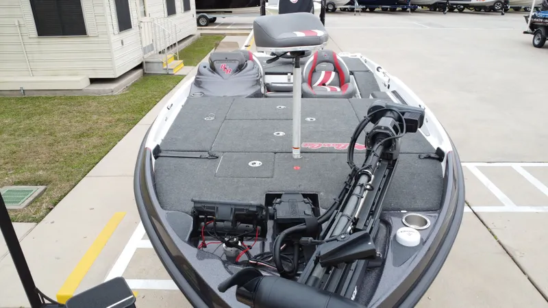 Slide: The Image of Bass Cat Caracal 2021 - 25