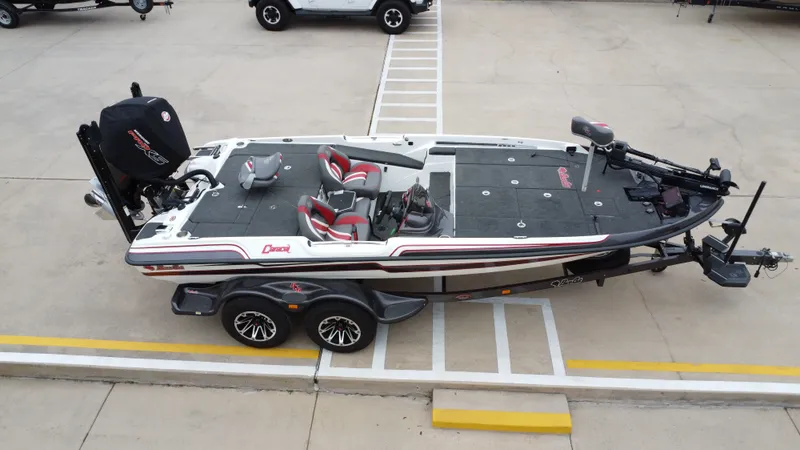 Slide: The Image of Bass Cat Caracal 2021 - 16