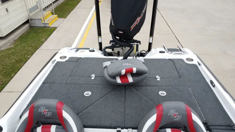 Slide: The Image of Bass Cat Caracal 2021 - 27