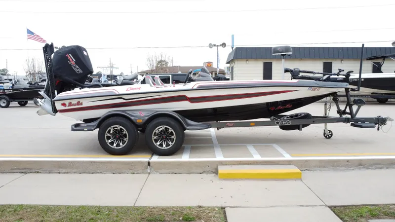 Slide: The Image of Bass Cat Caracal 2021 - 7