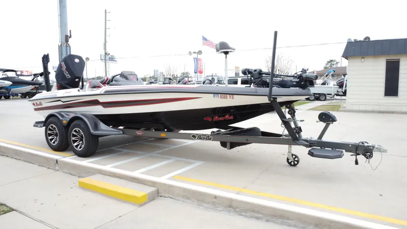 Slide: The Image of Bass Cat Caracal 2021 - 8