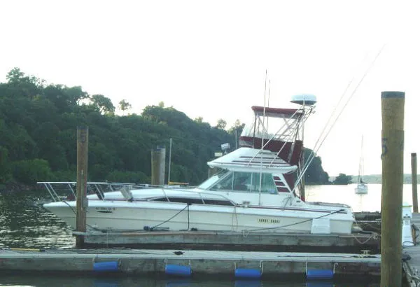 Slide: The Image of Sea Ray Sportfish Convertible 1985 - 0