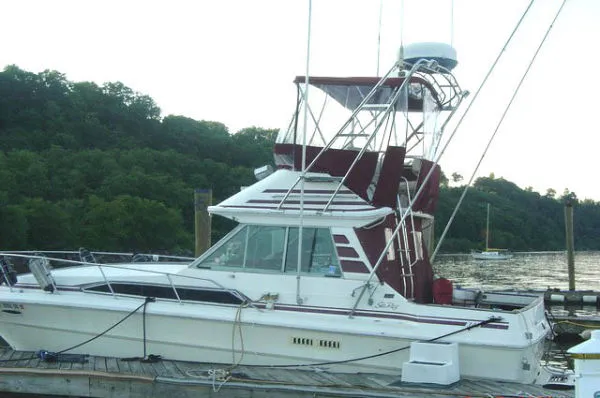 Slide: The Image of Sea Ray Sportfish Convertible 1985 - 1