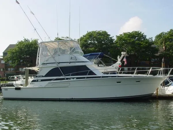 Slide: The Image of Bertram Sport Fisherman 1978 - 0