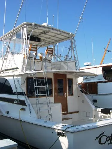Slide: The Image of Bertram Sport Fisherman 1978 - 3