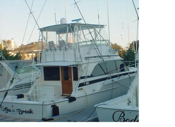 Slide: The Image of Bertram Sport Fisherman 1978 - 4