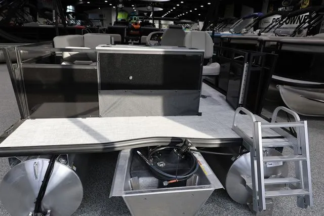 Slide: The Image of Dockside (By South Bay) 22DF (FISH) 2026 - 6