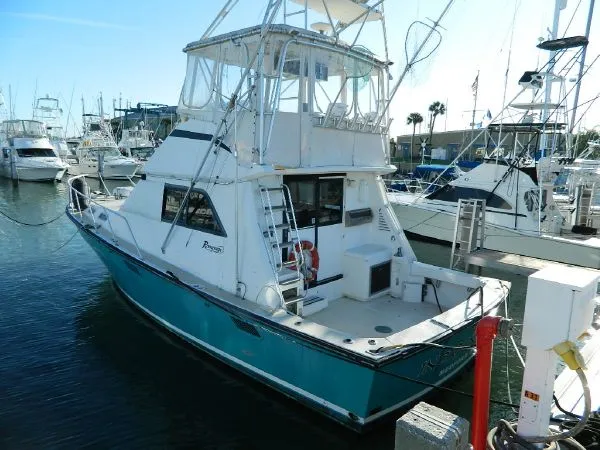 Slide: The Image of Rampage Sportfish 1988 - 2