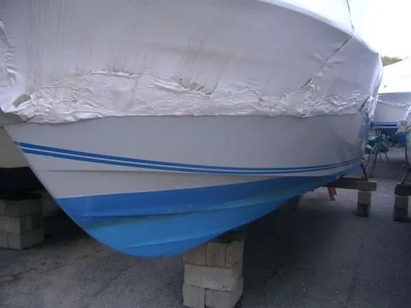 Slide: The Image of Cobalt 1982 - 0