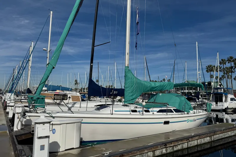 The Image of Catalina 36 MkII 1997 sailboat docked at marina with blue sky background. - 0
