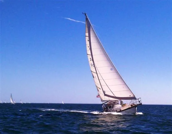 Slide: The Image of Alajuela Cutter 1975 - 0