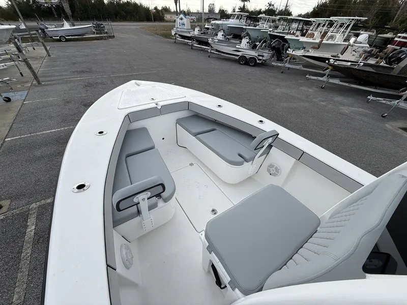 Slide: The Image of Delta D245 CC 2026 - 7