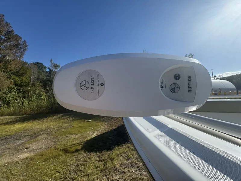 Slide: The Image of Everglades 243 CC with Tower 2020 - 10