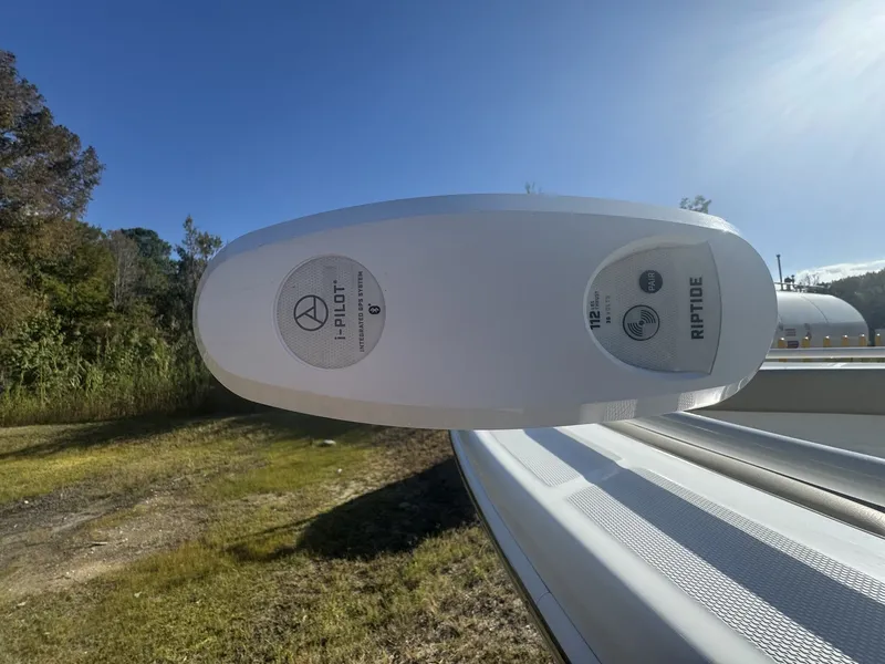 Slide: The Image of Everglades 243 CC with Tower 2020 - 10