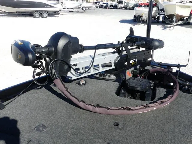 Slide: The Image of Bass Cat Cougar FTD 2021 - 11