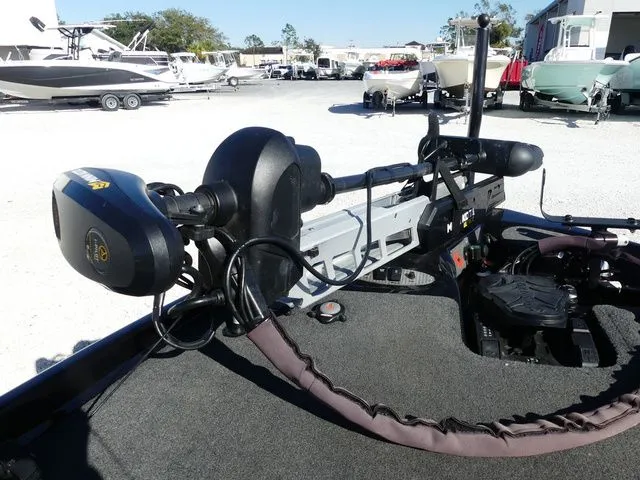 Slide: The Image of Bass Cat Cougar FTD 2021 - 12