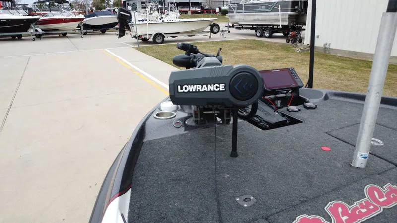 Slide: The Image of Bass Cat Caracal 2021 - 19