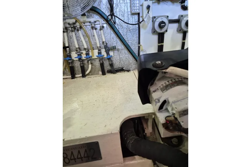 Slide: The Image of Navigator Californian Veneti 2003 - 51