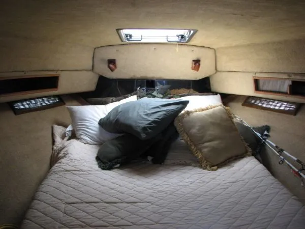 Slide: The Image of Sea Ray 34 Cabin 1984 - 3