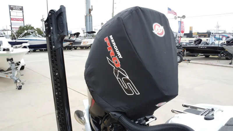 Slide: The Image of Bass Cat Caracal 2021 - 23