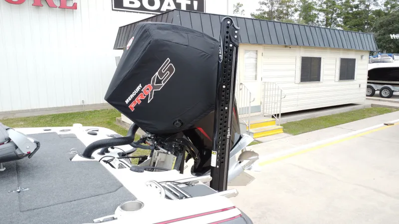 Slide: The Image of Bass Cat Caracal 2021 - 24