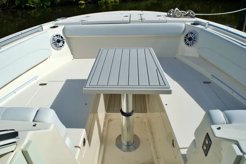 Slide: The Image of 2020 COBIA 330 DC - Image 24 - 24