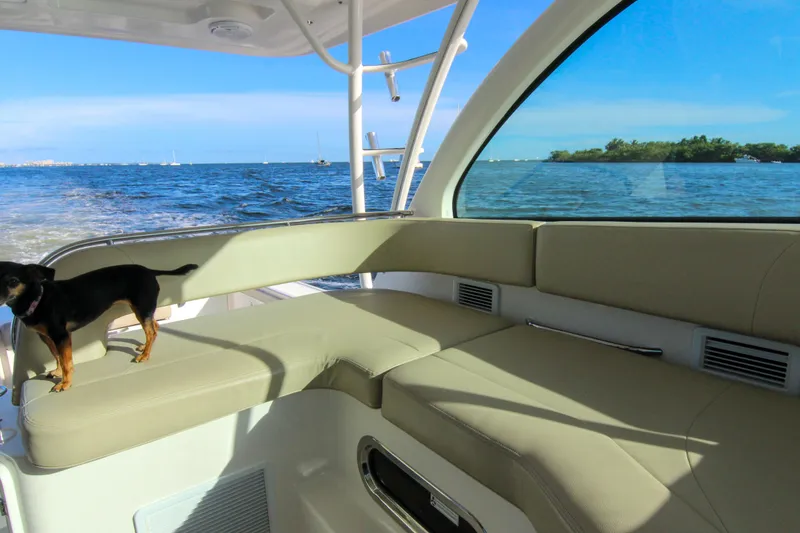 Slide: The Image of 2016 Pursuit OS 385 Offshore boat interior with a small dog, ocean view in background. - 43