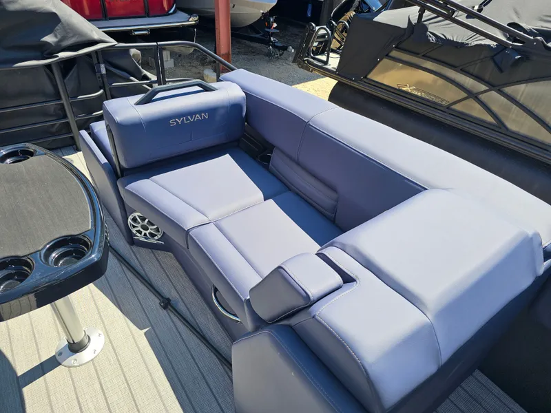 Slide: The Image of Sylvan G3 LZ DC 2026 - 12