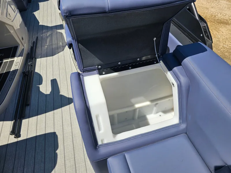 Slide: The Image of Sylvan G3 LZ DC 2026 - 18