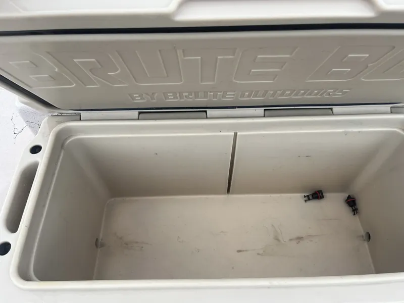 Slide: The Image of Shoalwater 23 Cat 2017 - 17