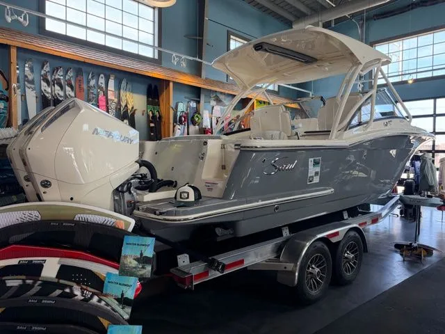 Slide: The Image of Scout 255 Dorado 2026 - 33