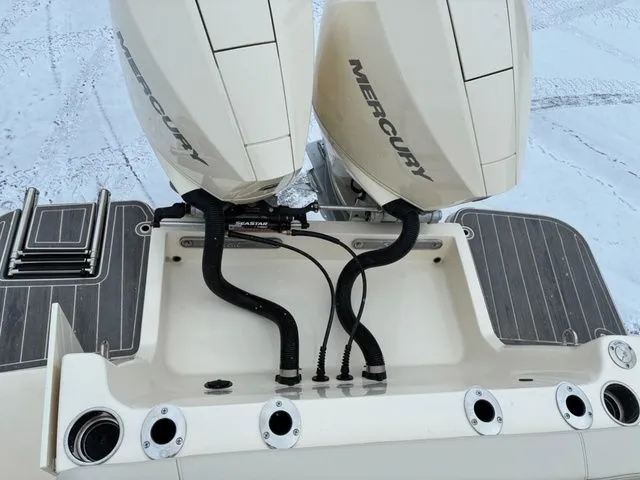 Slide: The Image of Scout 255 Dorado 2026 - 4