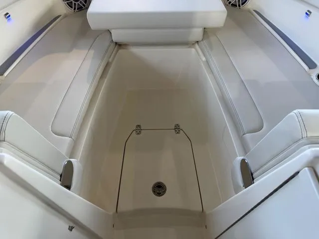 Slide: The Image of Scout 255 Dorado 2026 - 74