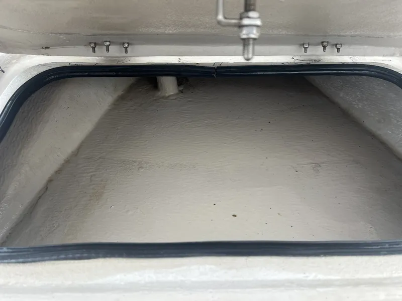 Slide: The Image of Shoalwater 23 Cat 2017 - 14