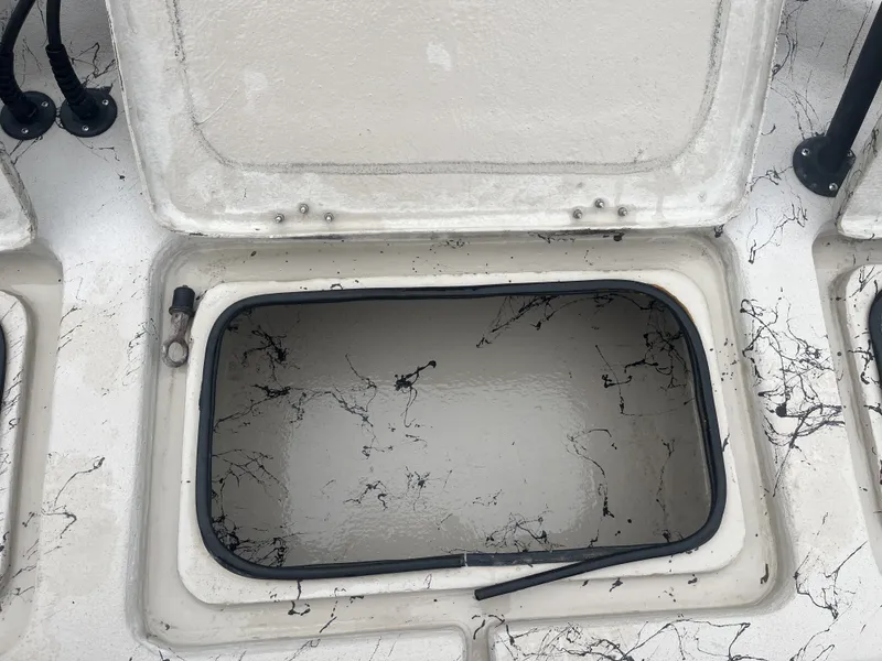 Slide: The Image of Shoalwater 23 Cat 2017 - 23