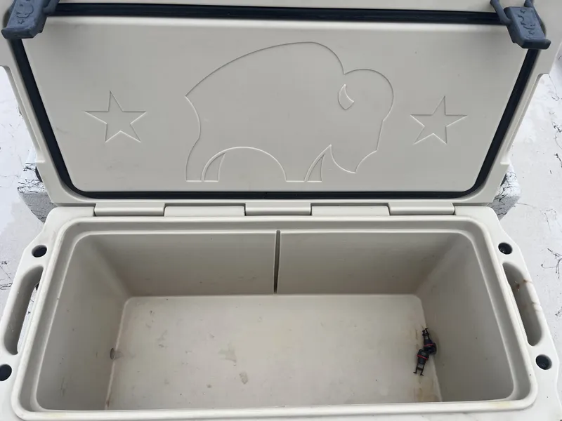 Slide: The Image of Shoalwater 23 Cat 2017 - 26