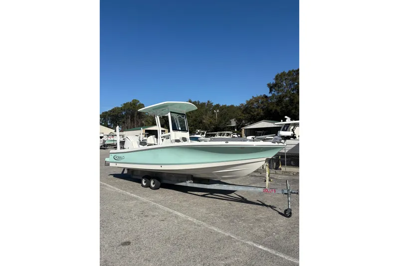 The Image of 2023 Robalo 246 Cayman boat on trailer, light blue hull, outdoor setting. - 0