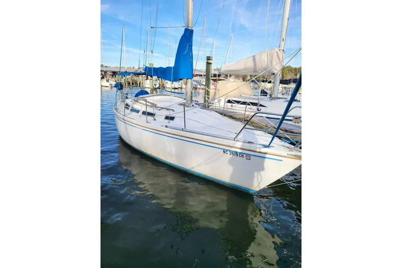 The Image of 1982 Catalina 30 sailboat docked in a marina, featuring blue sail covers. - 0