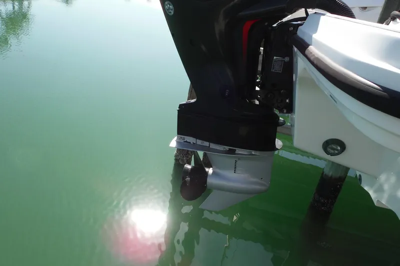 Slide: The Image of 2021 Sea Ray SPX 190 Outboard motor in calm green water. - 43