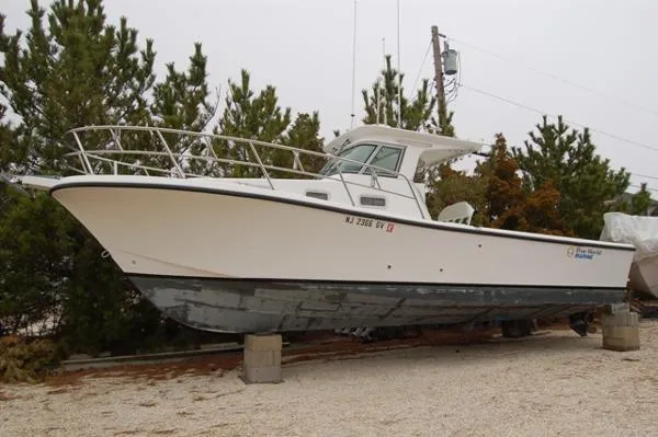 Slide: The Image of True World Marine 288 2004 - 0