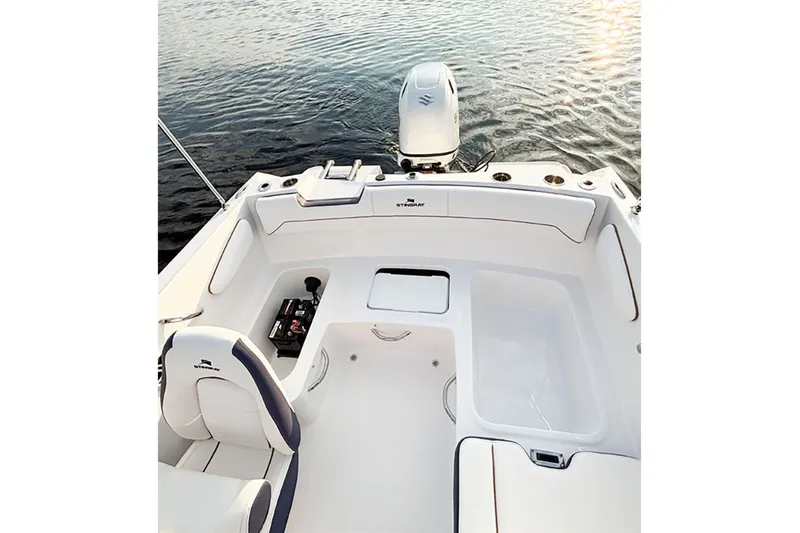 Slide: The Image of Stingray 172 DC 2026 - 16