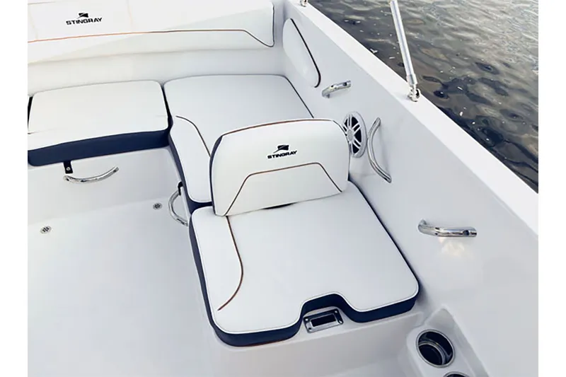 Slide: The Image of Stingray 172 DC 2026 - 18