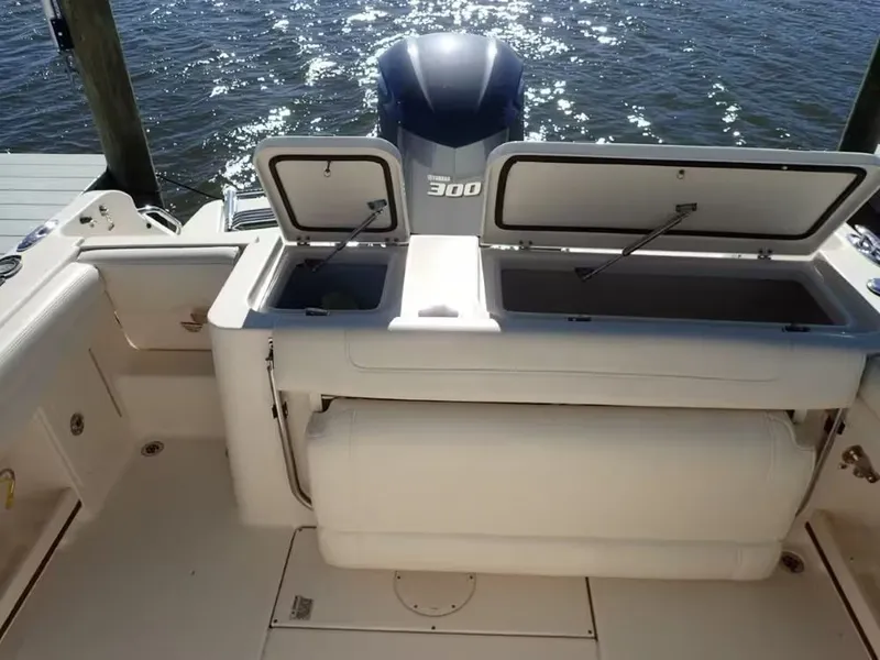 Slide: The Image of Grady-White Fisherman 236 2019 - 3