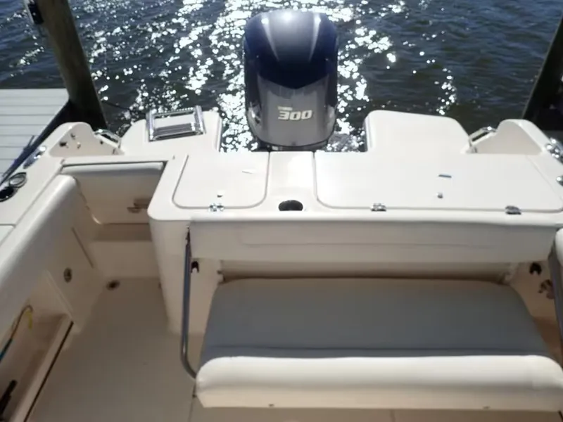 Slide: The Image of Grady-White Fisherman 236 2019 - 5