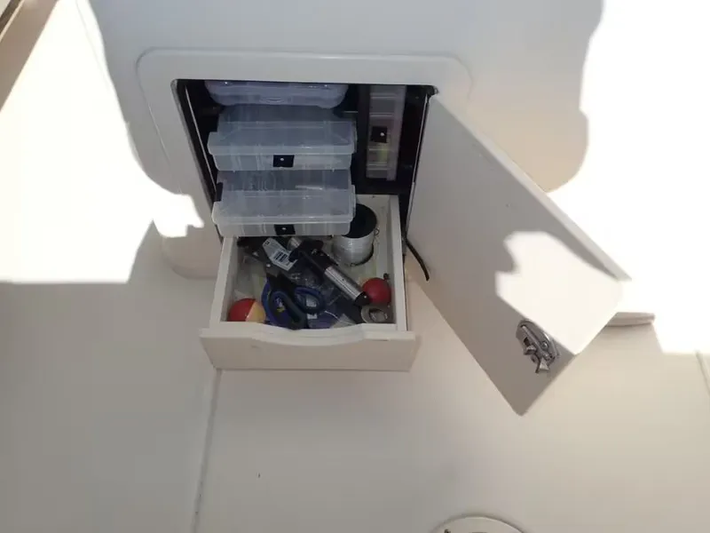 Slide: The Image of Grady-White Fisherman 236 2019 - 7