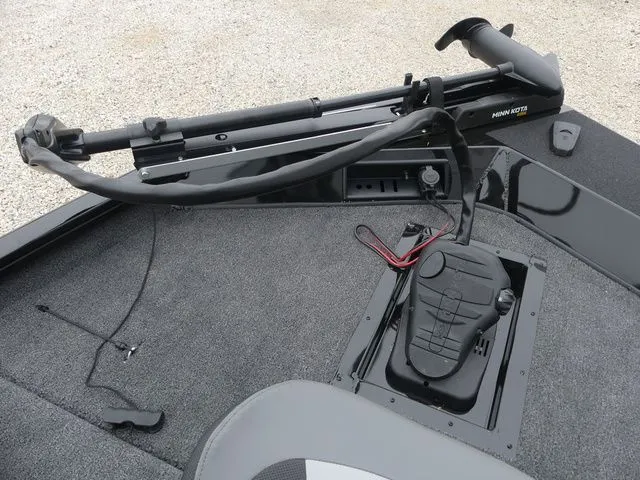 Slide: The Image of Lowe Stinger 195 Bass 2026 - 18