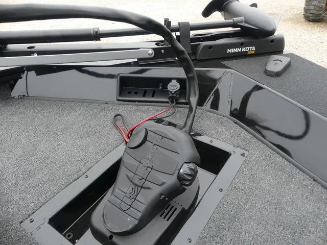 Slide: The Image of Lowe Stinger 195 Bass 2026 - 19