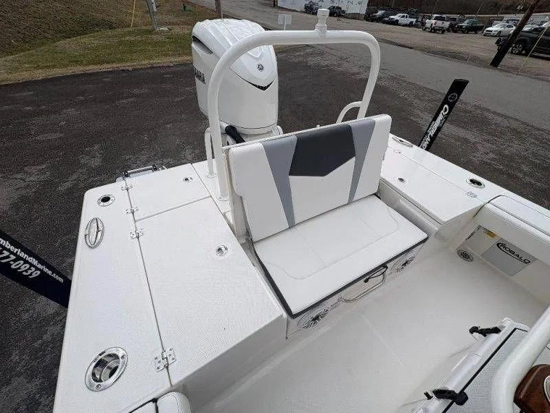 Slide: The Image of Robalo 246 Cayman 2026 - 134