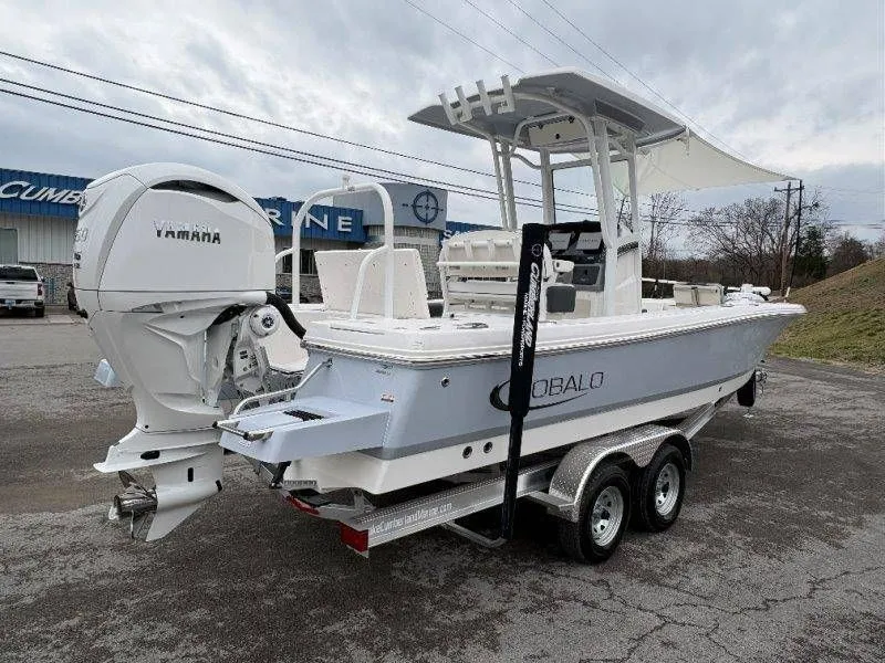 Slide: The Image of Robalo 246 Cayman 2026 - 38