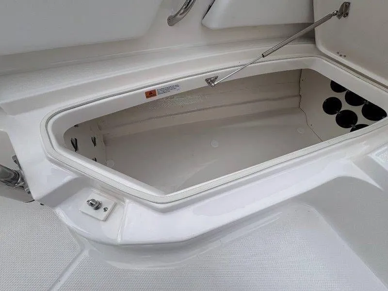 Slide: The Image of Robalo 246 Cayman 2026 - 43